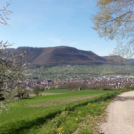 Hotel-restaurant & Metzgerei Roessle