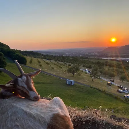 Hotel-restaurant & Metzgerei Roessle 3* Dettingen an der Erms