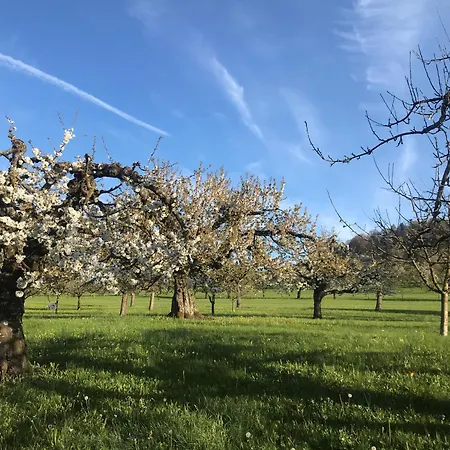 Hotel-restaurant & Metzgerei Roessle