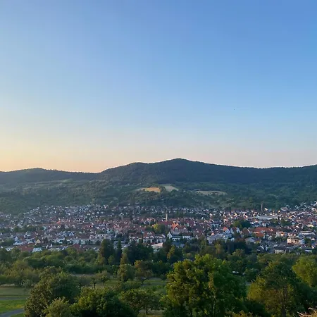 Hotel-restaurant & Metzgerei Roessle מלון 3*