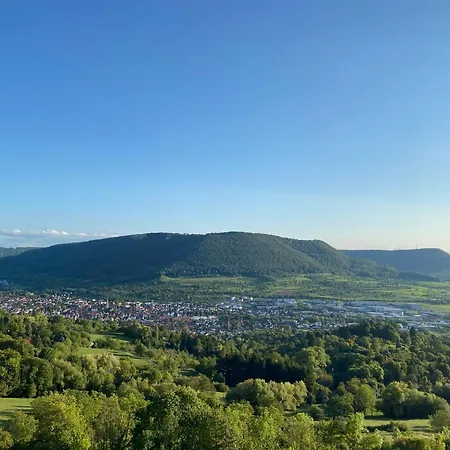 Hotel-restaurant & Metzgerei Roessle 3* Dettingen an der Erms