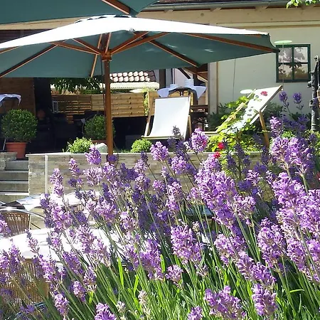 Hotel-restaurant & Metzgerei Roessle מלון 3*