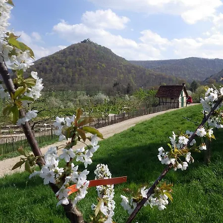 Hotel-restaurant & Metzgerei Roessle מלון
