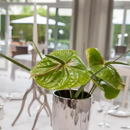 Hotel-restaurant&metzgerei Rößle 3* Dettingen an der Erms