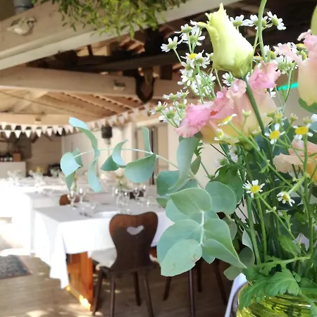 Hotel-restaurant & Metzgerei Roessle מלון Dettingen an der Erms